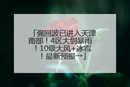 强回波已进入天津南部！4区大到暴雨！10级大风+冰雹！最新预报→