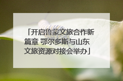 开启鲁蒙文旅合作新篇章 鄂尔多斯与山东文旅资源对接会举办