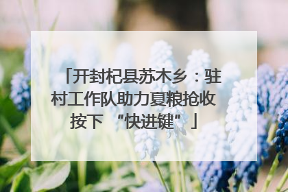 开封杞县苏木乡：驻村工作队助力夏粮抢收按下 “快进键”