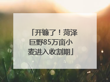 开镰了！菏泽巨野85万亩小麦进入收割期