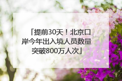 提前30天！北京口岸今年出入境人员数量突破800万人次