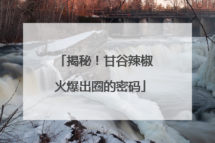 揭秘！甘谷辣椒火爆出圈的密码