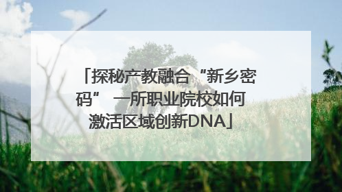 探秘产教融合“新乡密码” 一所职业院校如何激活区域创新DNA
