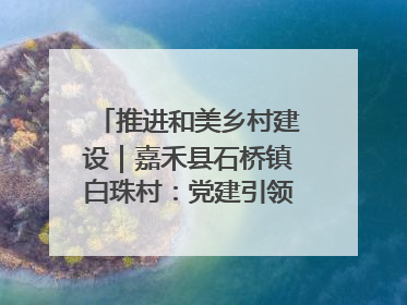 推进和美乡村建设｜嘉禾县石桥镇白珠村：党建引领破“空”局 乡贤聚力绘就新图景