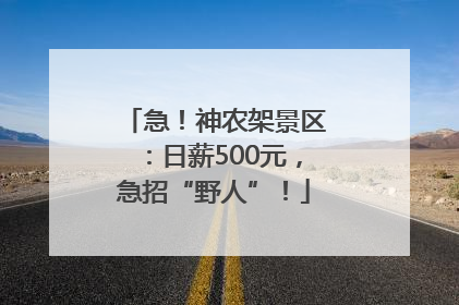 急！神农架景区：日薪500元，急招“野人”！