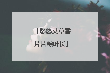 悠悠艾草香 片片粽叶长