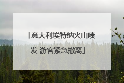 意大利埃特纳火山喷发 游客紧急撤离