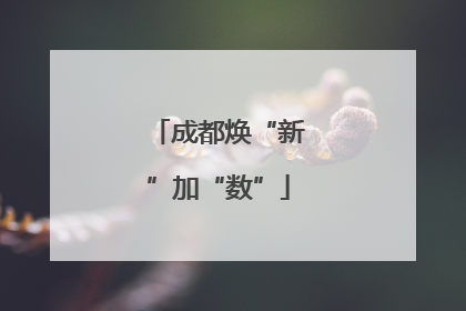 成都焕“新”加“数”