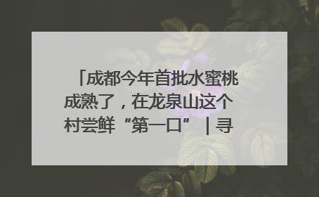 成都今年首批水蜜桃成熟了，在龙泉山这个村尝鲜“第一口”｜寻找和美乡村推荐官