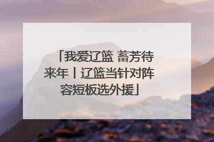 我爱辽篮 蓄芳待来年丨辽篮当针对阵容短板选外援