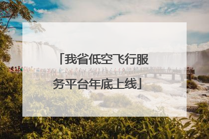 我省低空飞行服务平台年底上线