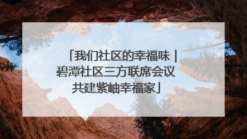 我们社区的幸福味｜碧潭社区三方联席会议共建紫岫幸福家