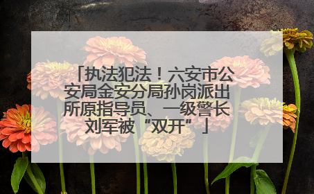 执法犯法！六安市公安局金安分局孙岗派出所原指导员、一级警长刘军被“双开”