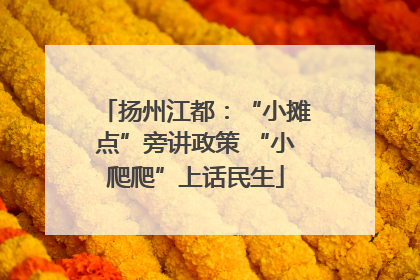 扬州江都：“小摊点”旁讲政策 “小爬爬”上话民生