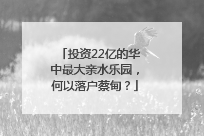 投资22亿的华中最大亲水乐园，何以落户蔡甸？
