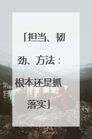 担当、韧劲、方法：根本还是抓落实