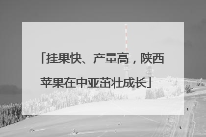 挂果快、产量高，陕西苹果在中亚茁壮成长