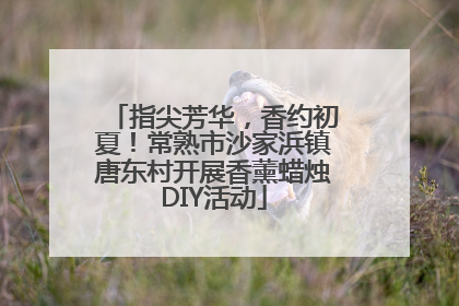 指尖芳华，香约初夏！常熟市沙家浜镇唐东村开展香薰蜡烛DIY活动