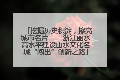 挖掘历史积淀，擦亮城市名片——浙江丽水高水平建设山水文化名城“闯出”创新之路