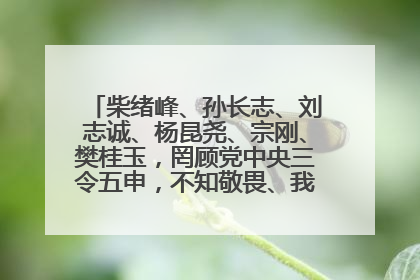 柴绪峰、孙长志、刘志诚、杨昆尧、宗刚、樊桂玉，罔顾党中央三令五申，不知敬畏、我行我素、肆意妄为！