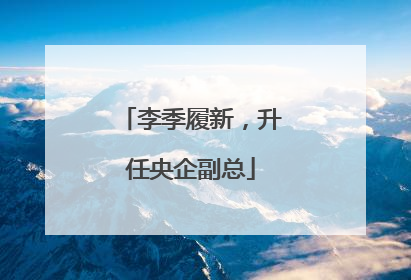 李季履新，升任央企副总