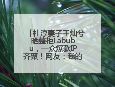 杜淳妻子王灿兮晒整柜Labubu，一众爆款IP齐聚！网友：我的 “梦中情柜”