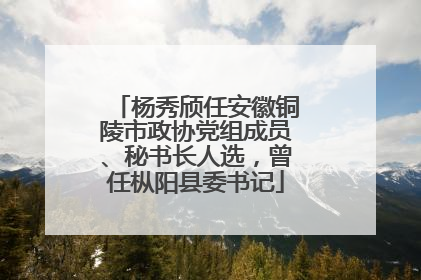 杨秀颀任安徽铜陵市政协党组成员、秘书长人选，曾任枞阳县委书记