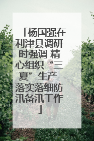 杨国强在利津县调研时强调 精心组织“三夏”生产 落实落细防汛备汛工作