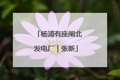 杨浦有座闸北发电厂｜张新