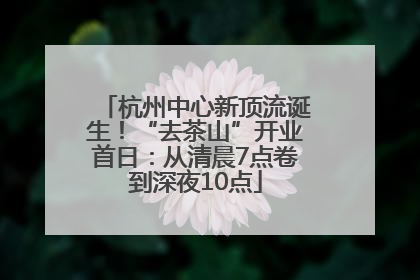 杭州中心新顶流诞生！“去茶山”开业首日：从清晨7点卷到深夜10点