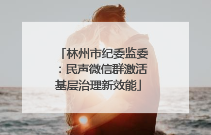林州市纪委监委：民声微信群激活基层治理新效能