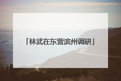 林武在东营滨州调研