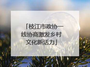 枝江市政协一线协商激发乡村文化新活力
