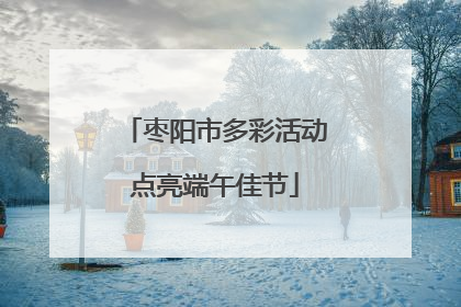 枣阳市多彩活动点亮端午佳节