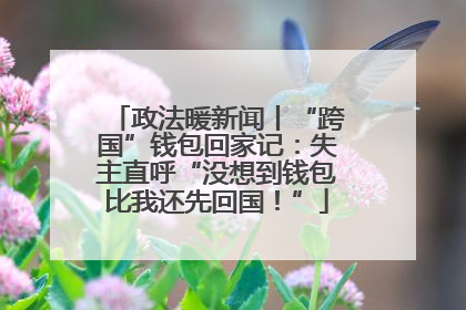 政法暖新闻丨“跨国”钱包回家记：失主直呼“没想到钱包比我还先回国！”