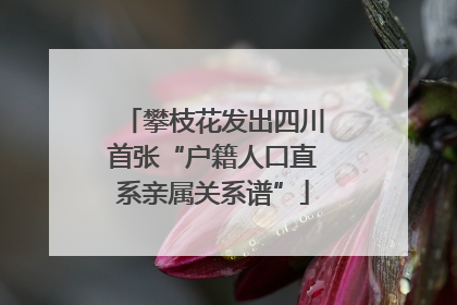 攀枝花发出四川首张“户籍人口直系亲属关系谱”