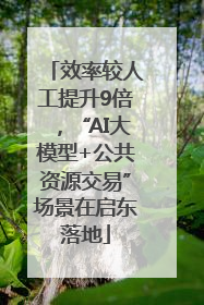 效率较人工提升9倍，“AI大模型+公共资源交易”场景在启东落地