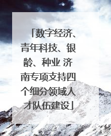 数字经济、青年科技、银龄、种业 济南专项支持四个细分领域人才队伍建设