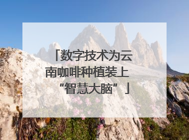 数字技术为云南咖啡种植装上“智慧大脑”