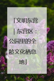 文明东营｜东营区：公园里的全龄文化栖息地