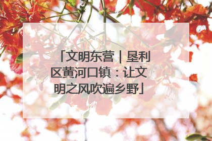 文明东营｜垦利区黄河口镇：让文明之风吹遍乡野