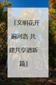 文明花开遍河洛 共建共享谱新篇