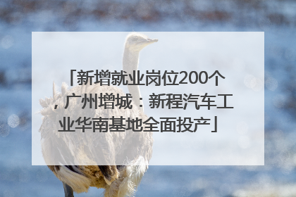 新增就业岗位200个，广州增城：新程汽车工业华南基地全面投产