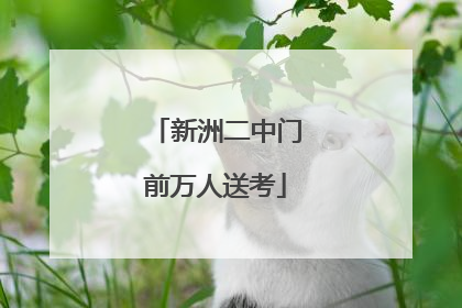 新洲二中门前万人送考