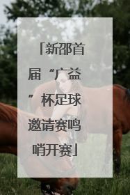 新邵首届“广益”杯足球邀请赛鸣哨开赛