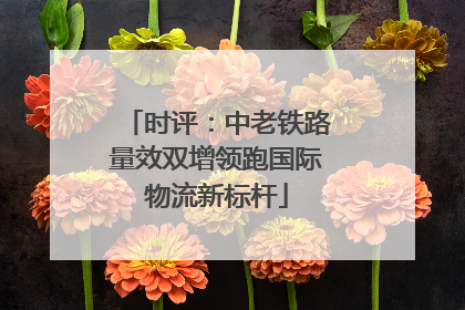 时评：中老铁路量效双增领跑国际物流新标杆