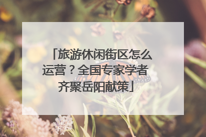 旅游休闲街区怎么运营？全国专家学者齐聚岳阳献策