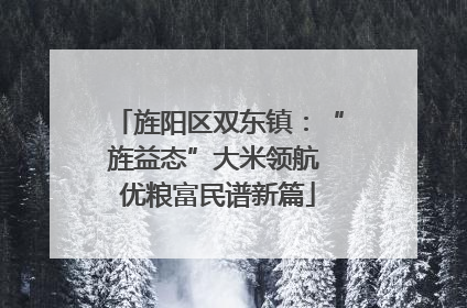 旌阳区双东镇：“旌益态”大米领航 优粮富民谱新篇