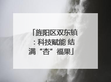 旌阳区双东镇：科技赋能 结满“杏”福果