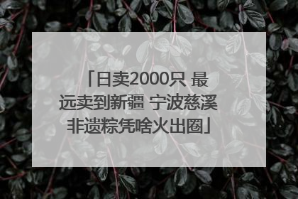 日卖2000只 最远卖到新疆 宁波慈溪非遗粽凭啥火出圈